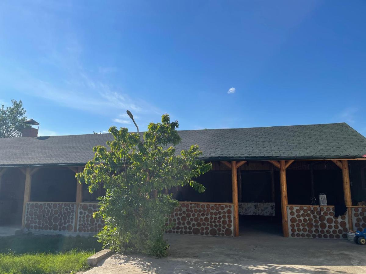 Pensiunea Colt De Rai Corbi Exterior foto