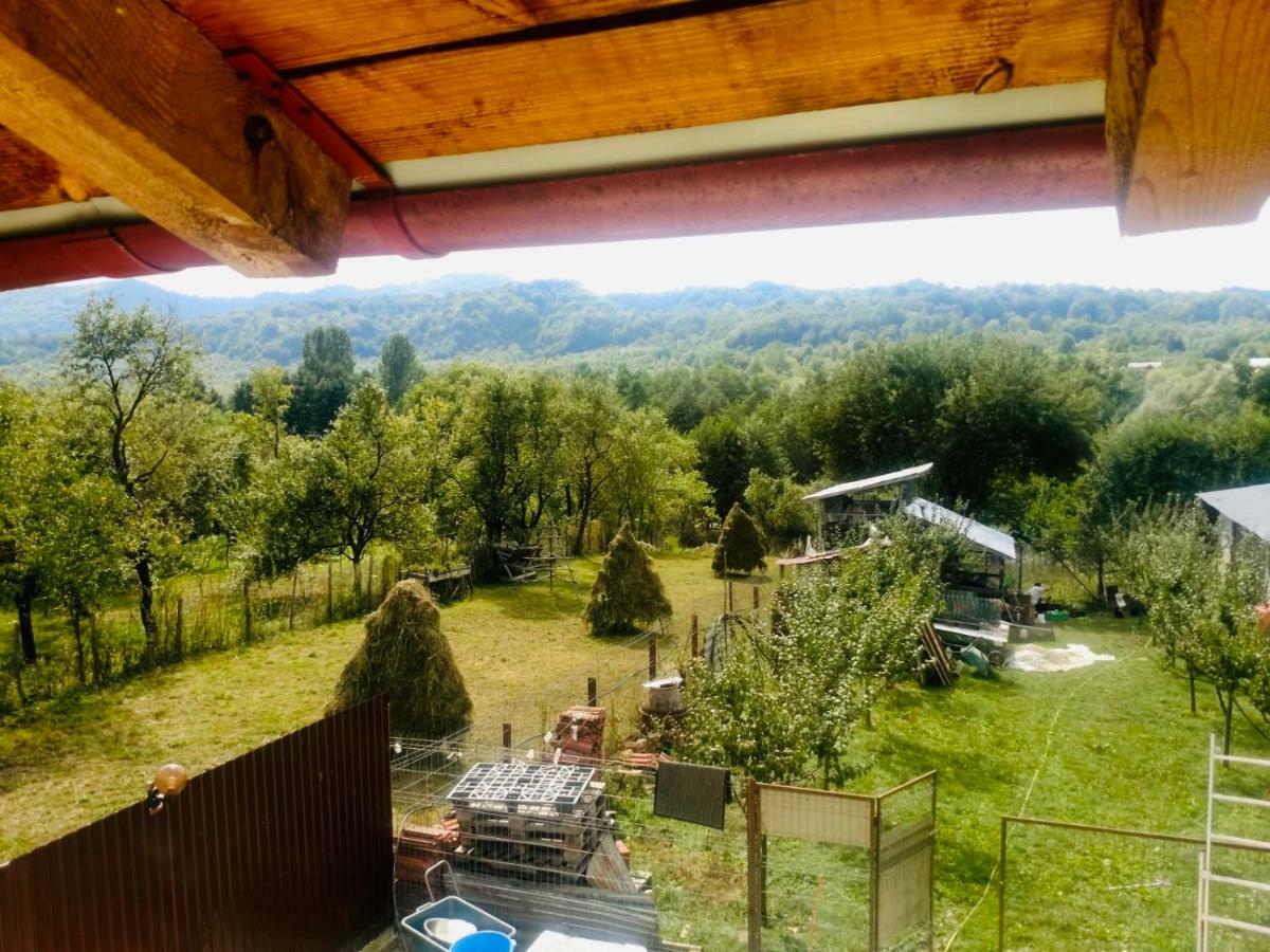 Pensiunea Colt De Rai Corbi Exterior foto